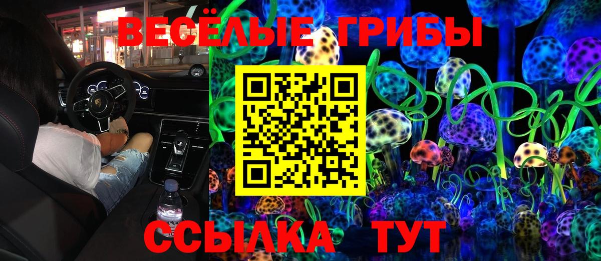 Галлюциногенные грибы Cubensis Урус-Мартан